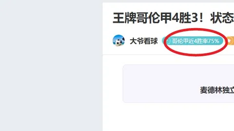 巨星荣膺历史性冠军时刻，帽子却成焦点热议对象