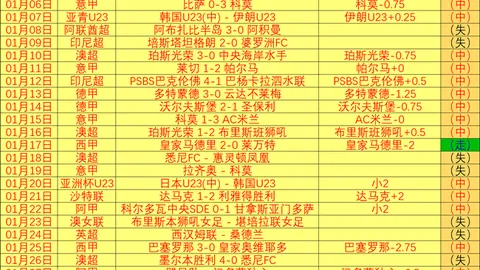 中国首座高风速海域海上光伏项目成功实现首期并网发电